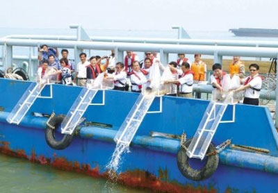1500万尾蟹苗放流渤海湾