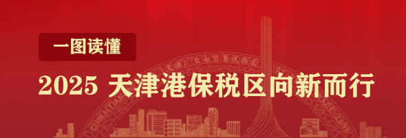 图解 | 2025 天津港保税区向新而行